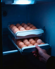 Organizador de Huevos